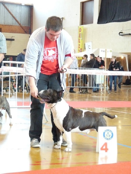 E'shine de bulls and co - 4 ème excellent