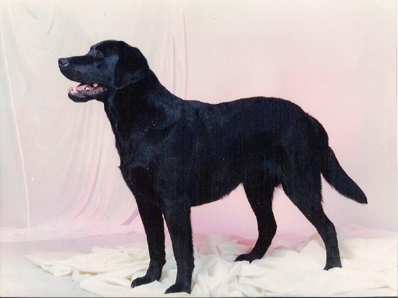 Publication : Du Clos Des Enfantins