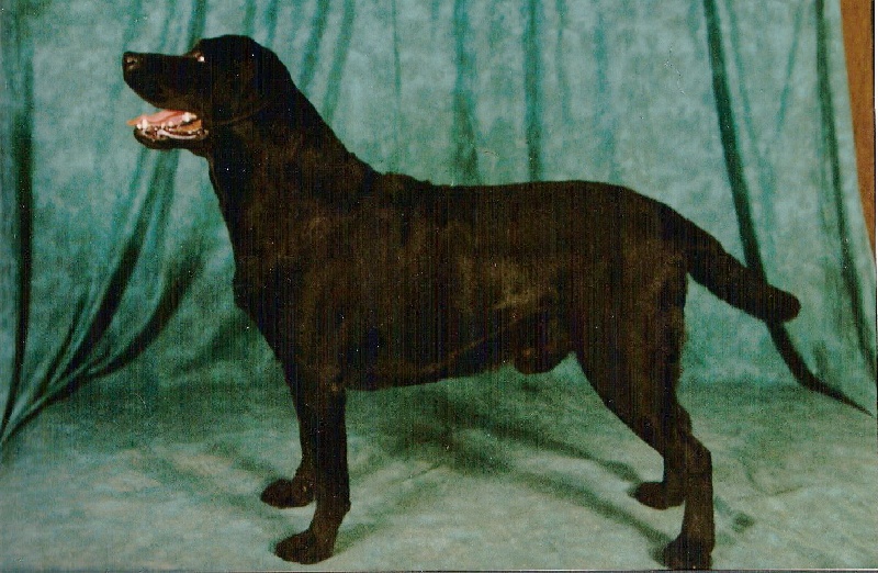 Publication : Du Clos Des Enfantins