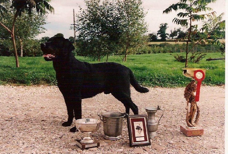 Publication : Du Clos Des Enfantins