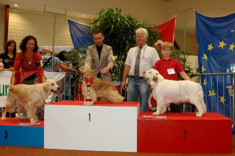 TR. CH. Lolita pour quentin Du bois des amourettes - 1er exc Cl. Jeune Meilleur Jeune, 2ème du 8ème Gr. Jeunes