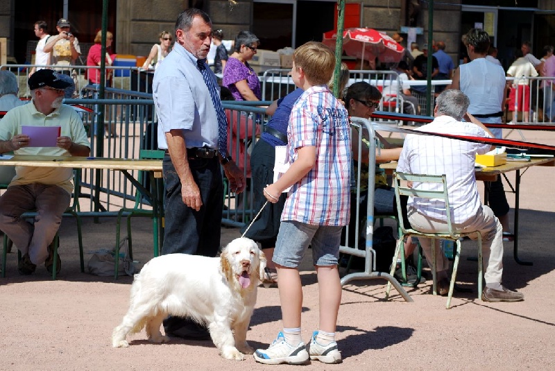 TR. CH. Lolita pour quentin Du bois des amourettes - Très Prometteur Meilleur Puppy