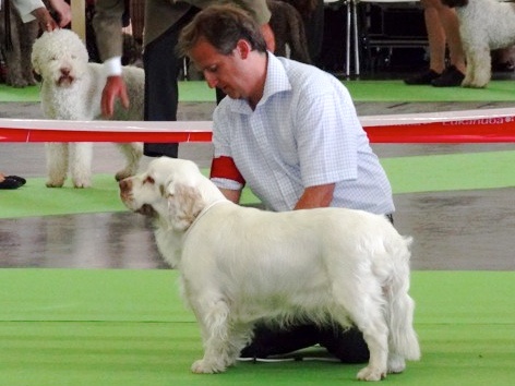 Pomme d'amour Du bois des amourettes - 4ème Exc Classe Jeune