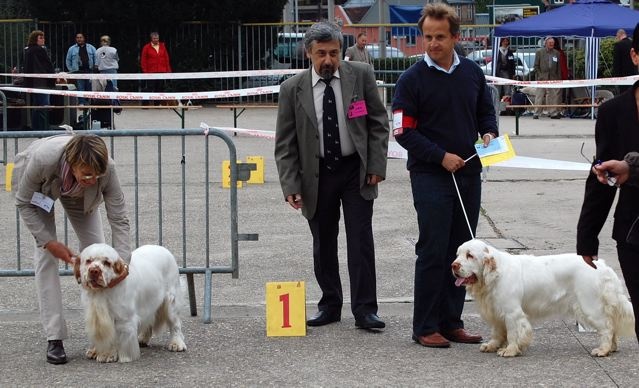 TR. CH. Lolita pour quentin Du bois des amourettes - 1er Exc Cl. Trav. CAC CACIB