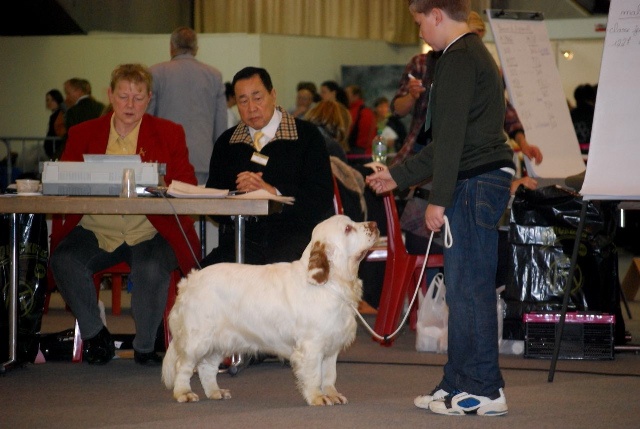 TR. CH. Lolita pour quentin Du bois des amourettes - 1er TB Cl. Jeune