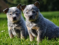 A L'Ouest Des Prés De L'Abby