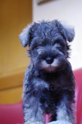 A L'Ouest Des Prés De L'Abby