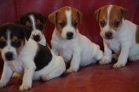 A L'Ouest Des Prés De L'Abby