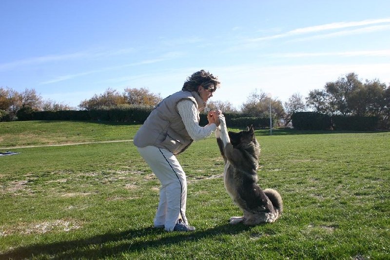 Béné tleilax cadbury de Champernoune