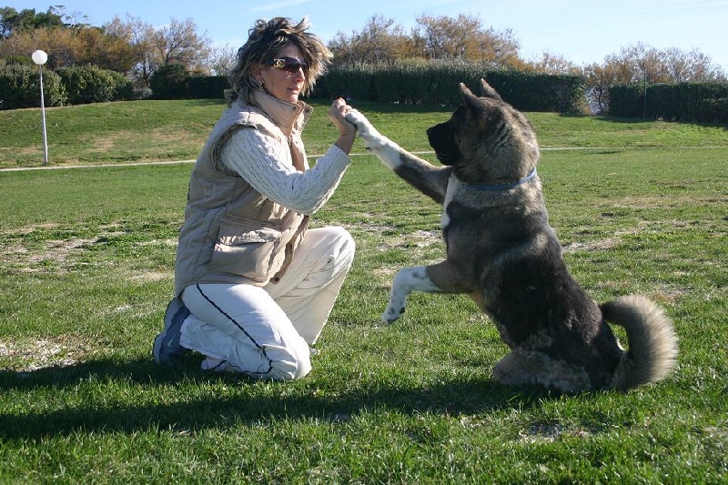 Béné tleilax cadbury de Champernoune