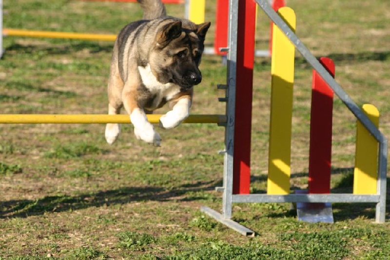 Béné tleilax cadbury de Champernoune