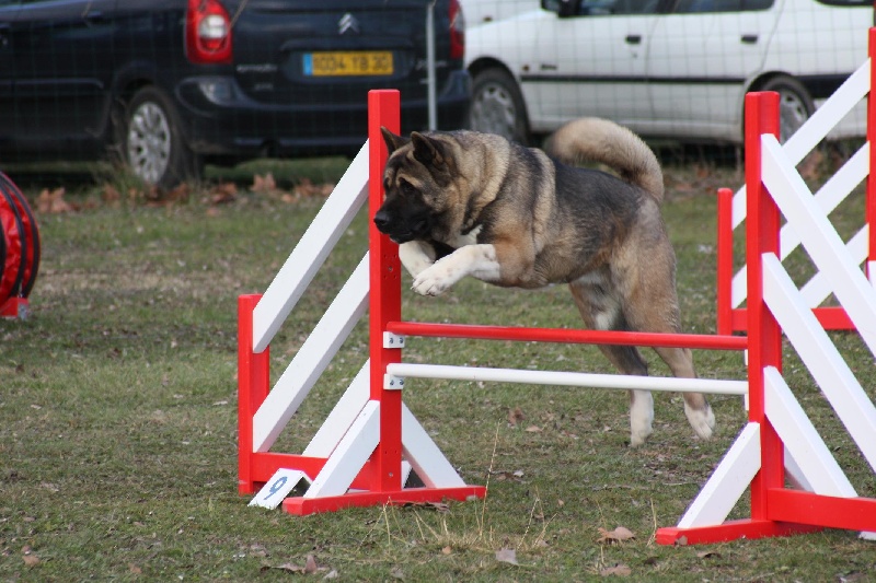 Béné tleilax cadbury de Champernoune