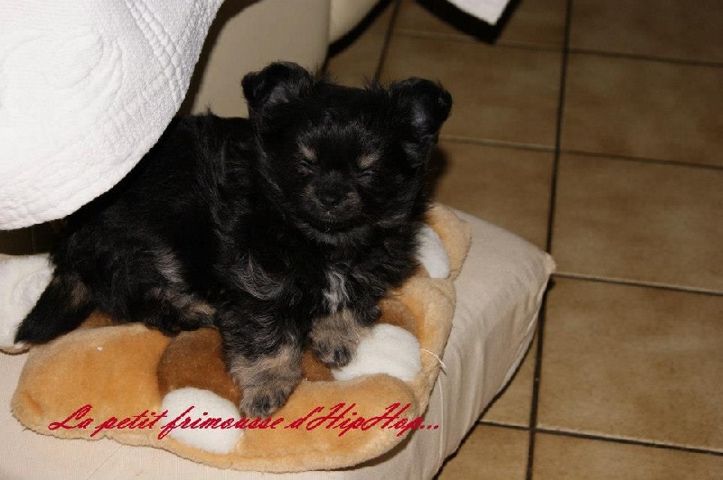 Publication : Born To Be A Bull Auteur : Sonia Vrac