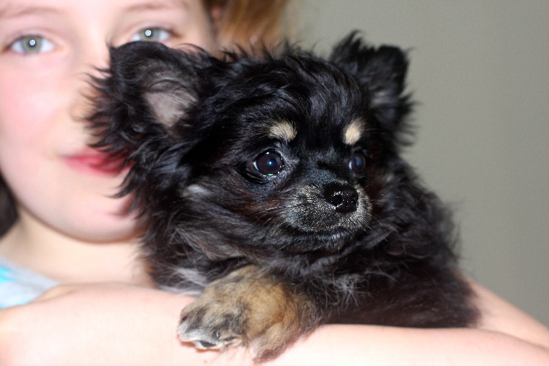 Publication : Born To Be A Bull Auteur : Sonia Vrac