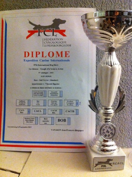 Google Of A'aron In Action - 2eme EXCELLENT RESERVE CAC