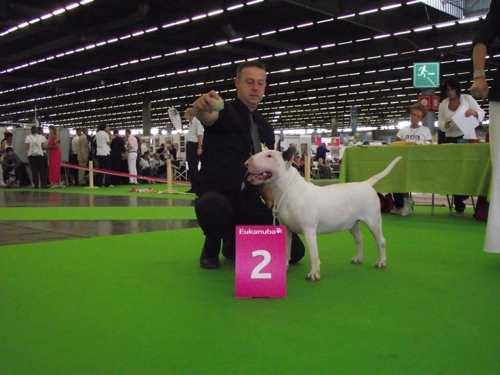 CH. Fly me to the moon de la Tribu Parisii - 2ème EXC Classe Jeune