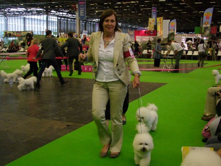 Publication : de Pengwen de Pen ar Bed Auteur : Irma Beaussier