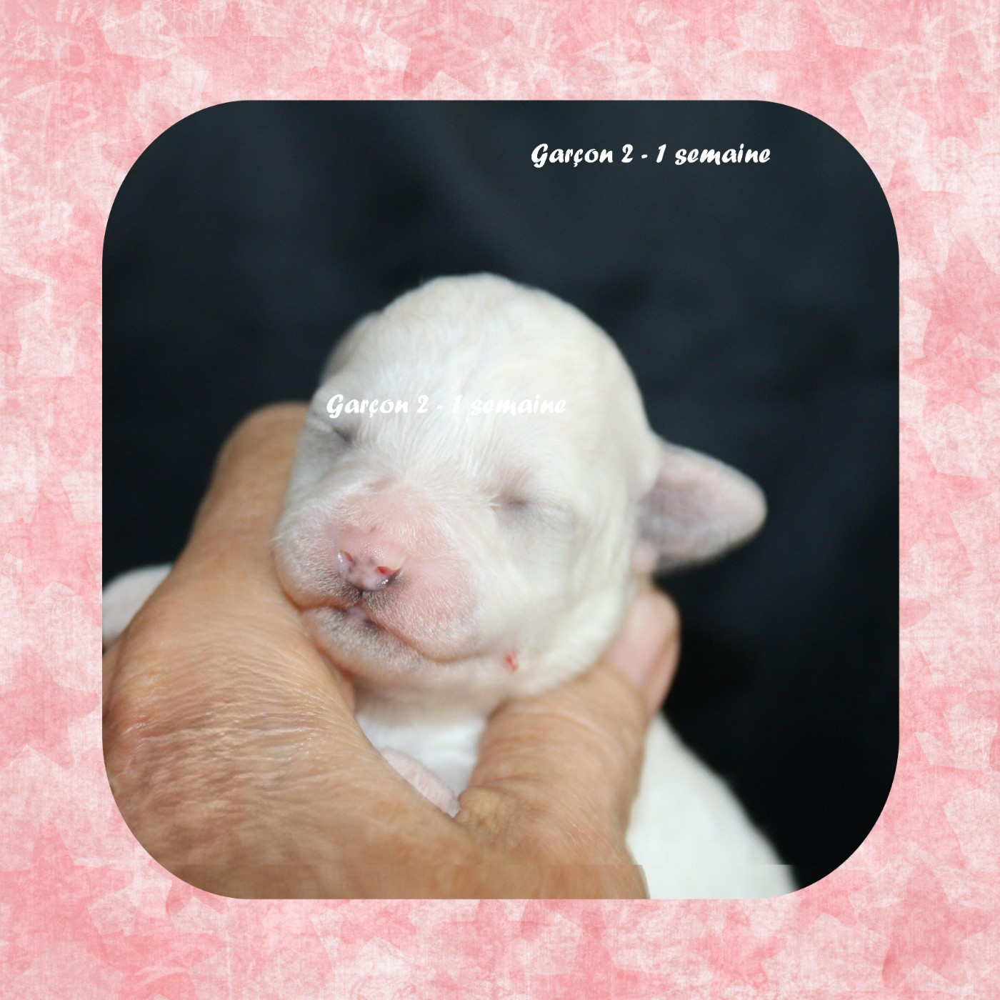 Garçon 2