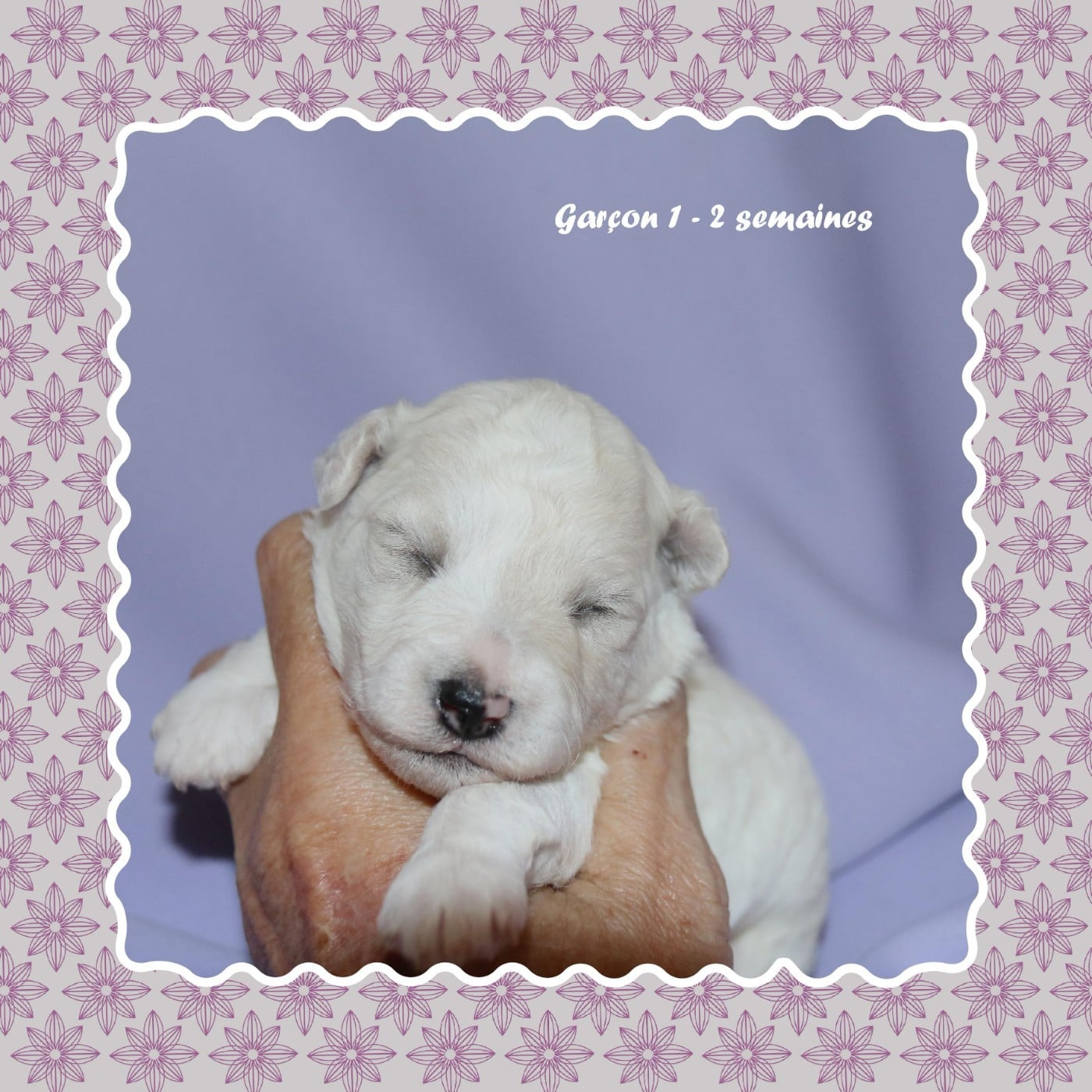 Garçon 1