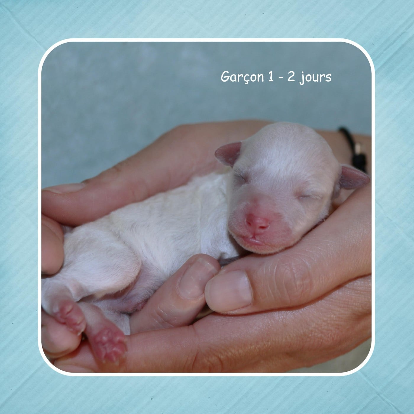 Garçon 1