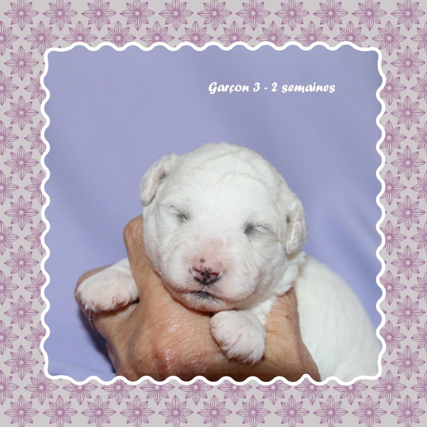 Garçon 3