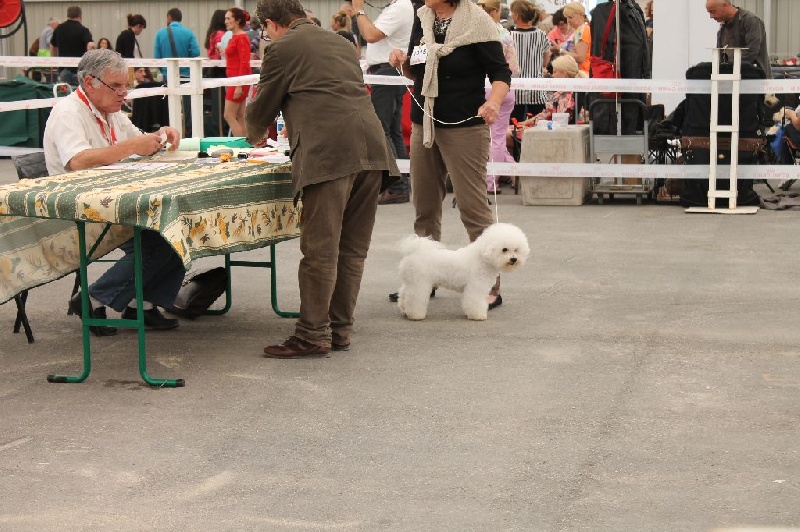 Chicago boy Vom gartenpark - 1er Excellent - Meilleur Jeune