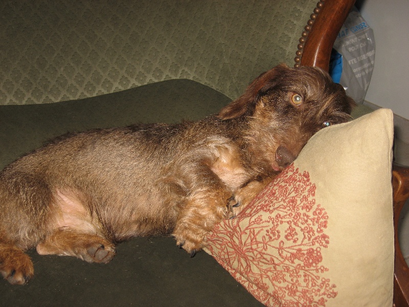 Publication : De La Bastide Saint Eugénie Auteur : Elodie TARADE