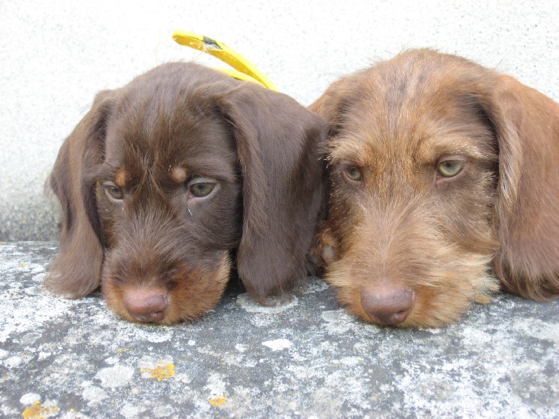 Publication : De La Bastide Saint Eugénie Auteur : Elodie TARADE