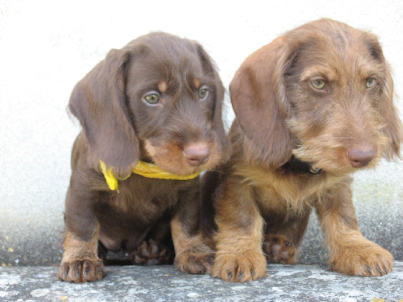 Publication : De La Bastide Saint Eugénie Auteur : Elodie TARADE