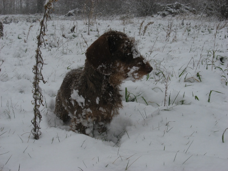 Publication : De La Bastide Saint Eugénie Auteur : Elodie TARADE