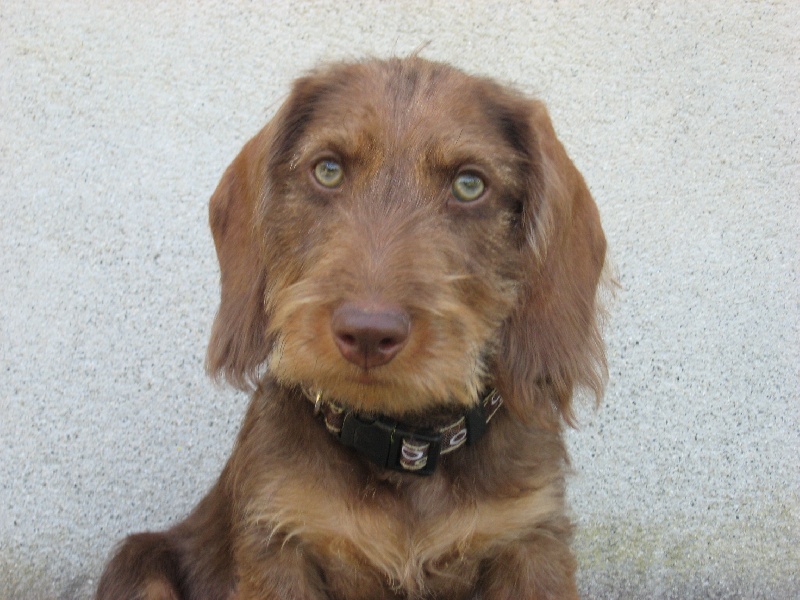 Publication : De La Bastide Saint Eugénie Auteur : Elodie TARADE