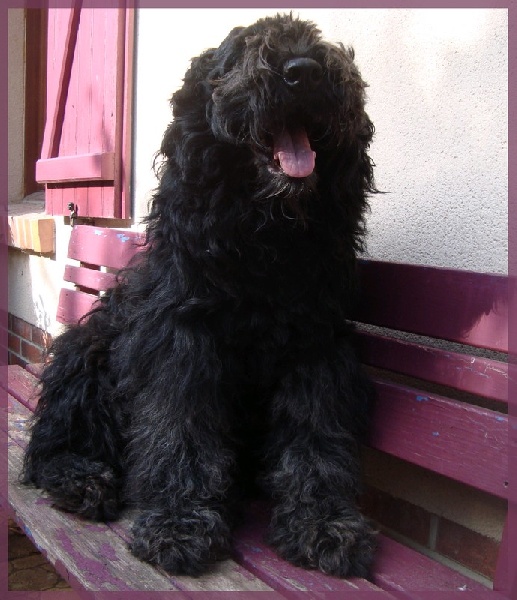 Publication : Du Site Des Monts Flamants