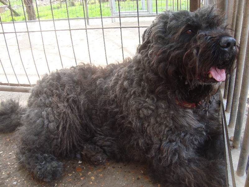 Publication : Du Site Des Monts Flamants