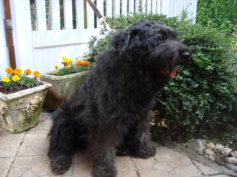 Publication : Du Site Des Monts Flamants