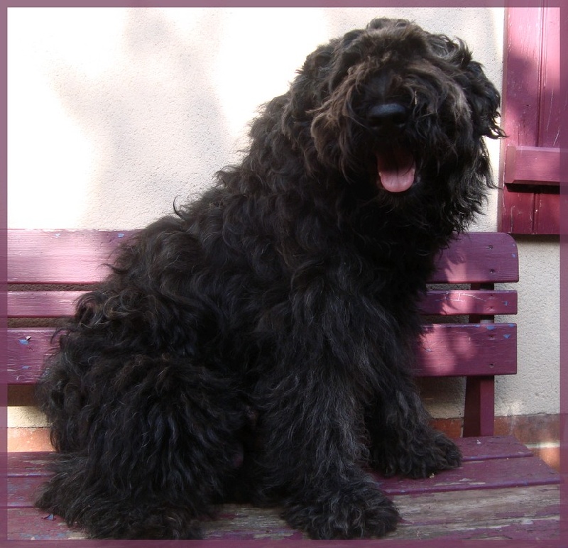 Publication : Du Site Des Monts Flamants