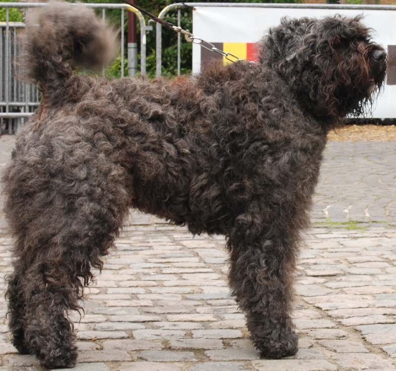 Publication : Du Site Des Monts Flamants