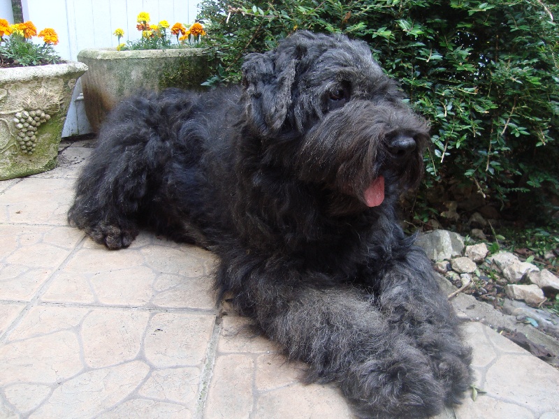 Publication : Du Site Des Monts Flamants