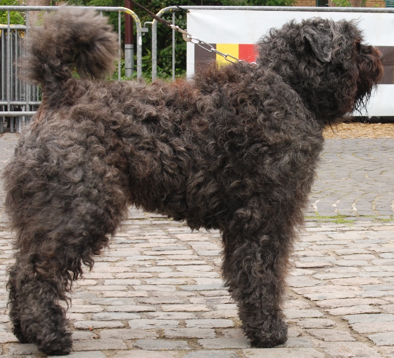 Publication : Du Site Des Monts Flamants