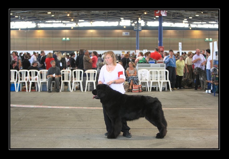 Droopy du Pas de Gargantua - 3 ème excellent