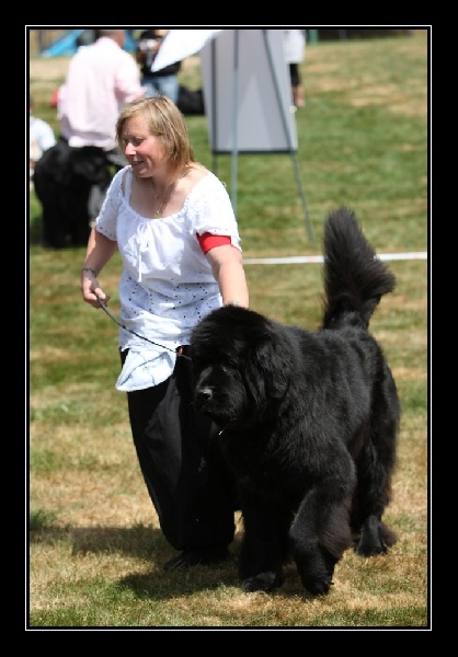 Droopy du Pas de Gargantua - très bon avec le juge en grande hésitation pour l excellent