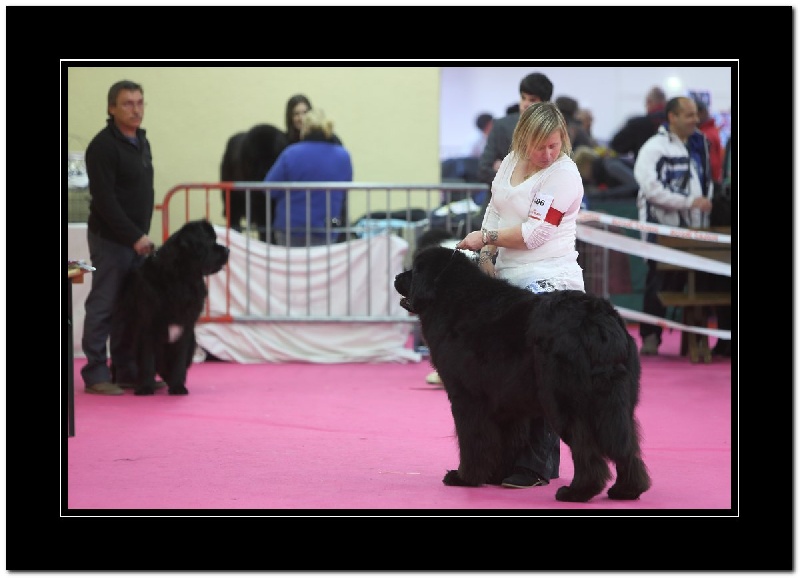 Droopy du Pas de Gargantua - excellent