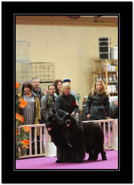 Droopy du Pas de Gargantua - 3 eme en couple