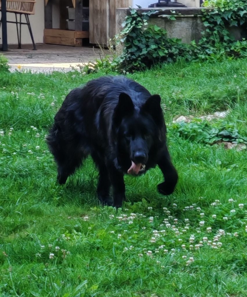 Vinka du Chalet des Pierres de Lune