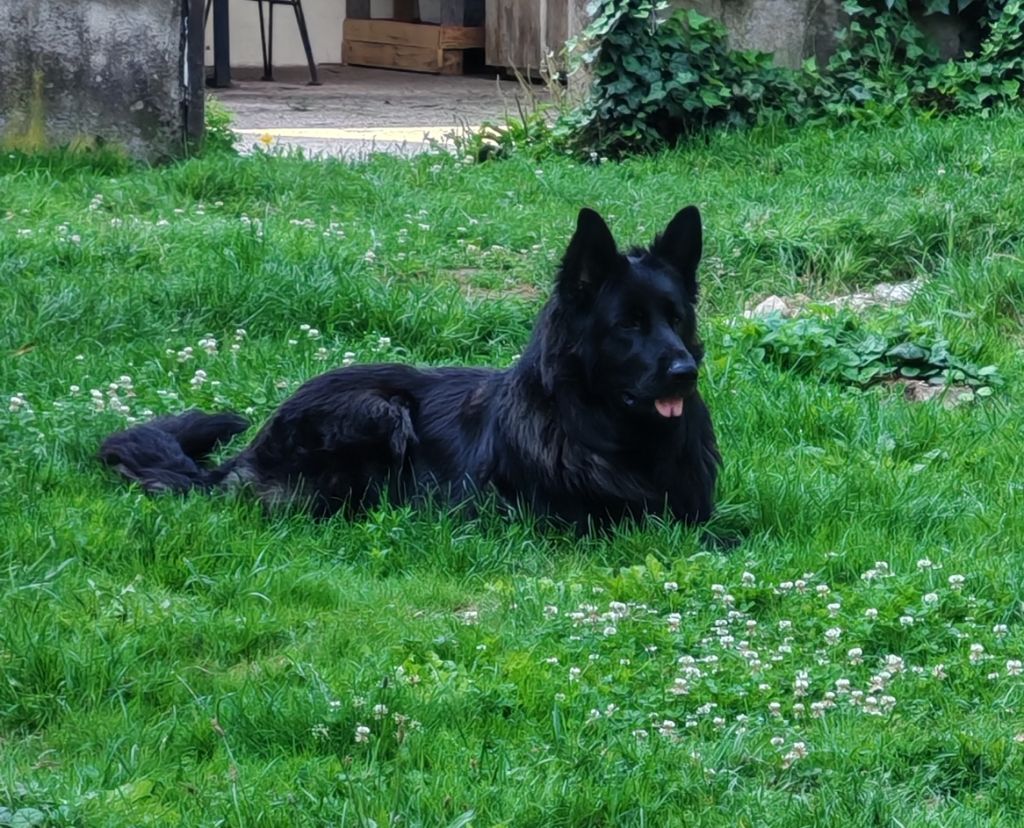 Vinka du Chalet des Pierres de Lune