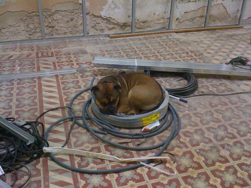 Publication : De Kaëlonia Auteur : Gui&Caro