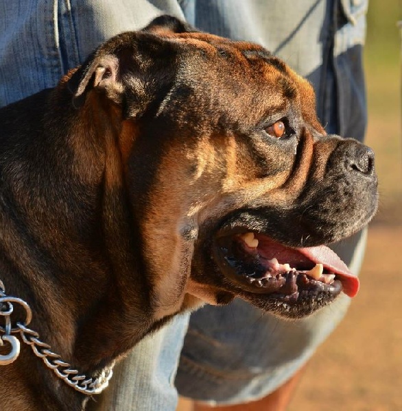 Publication : De Kaëlonia Auteur : Gui&Caro