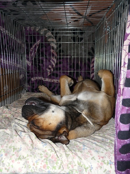 Publication : De Kaëlonia Auteur : Gui&Caro