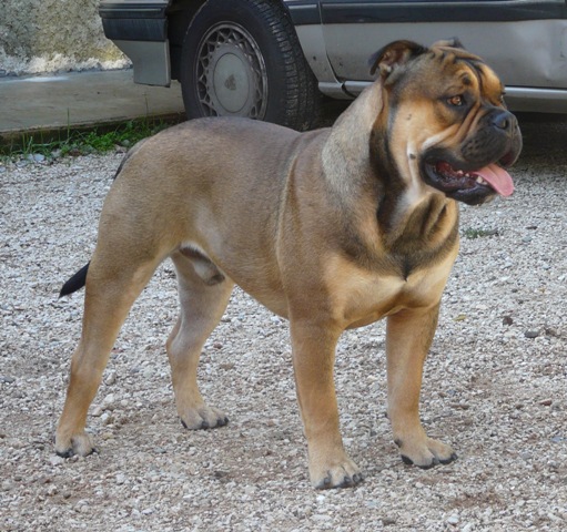 Publication : De Kaëlonia Auteur : Gui&Caro