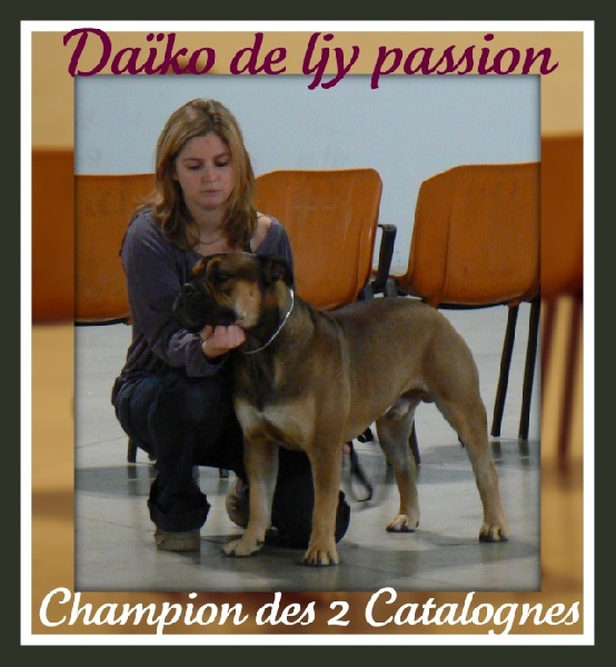 Publication : De Kaëlonia Auteur : Gui&Caro