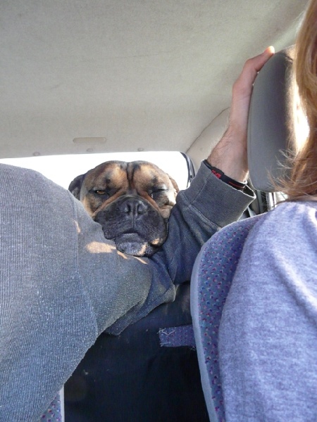 Publication : De Kaëlonia Auteur : Gui&Caro